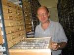 Dr M.R. Wilson, Linden Entomological Drawers, Cardiff
