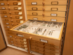 Linden Entomological Drawers, NIBIO Ås, photo: Erling Fløistad