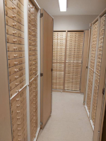 Entomological Sets, Cabinets with Drawers, NIBIO Ås, photo: Erling Fløistad