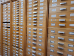 Courtesy of Oxford University Museum of Natural History