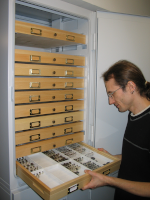 Collections Manager Darren Mann, Courtesy of Oxford University Museum of Natural History