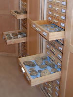 Courtesy of Oxford University Museum of Natural History