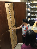 Prof. Ruth Bastardo, Instituto de Investigaciones Botánicas y Zoológicas, Santo Domingo