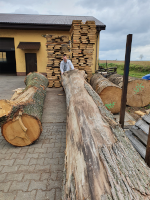 At the sawmill - Tilia Cordata