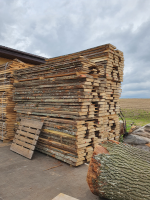  At the sawmill - Tilia Cordata
